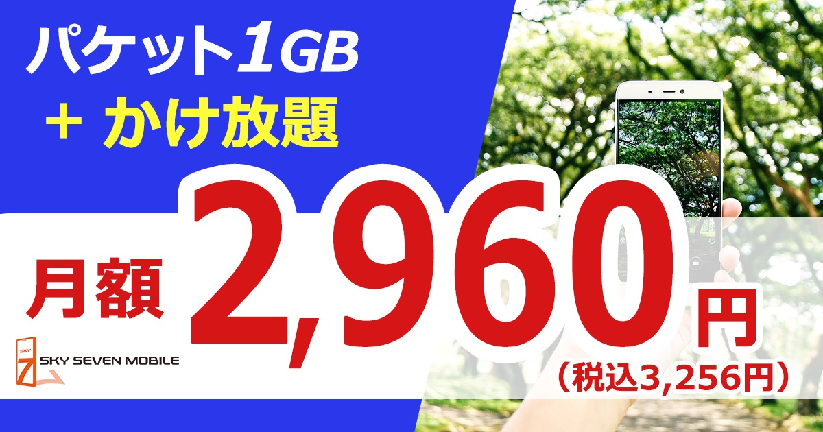 基本料金月額3,256円から